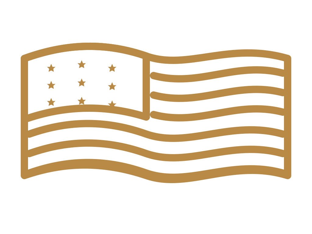 Bandeira dos Estados Unidos em traço dourado